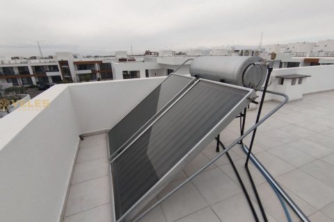 آپارتمان در  Famagusta ، ترکیه 3 خوابه ، 183 متر مربع.  شماره 214211 - 16