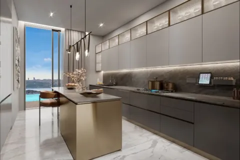 3+1 Wohnung  in Istanbul, Türkei Nr. 222109 - 8