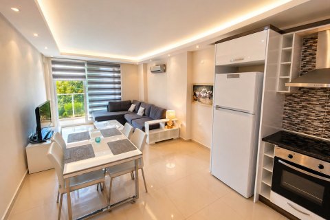 1+1 Wohnung  in Alanya, Antalya, Türkei Nr. 218616 - 5