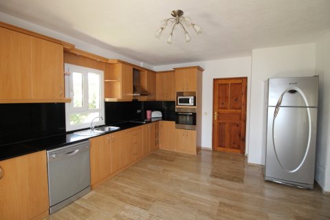 3+1 Villa i Dalyan, Mugla, Turkiet Nr. 219745 - 16