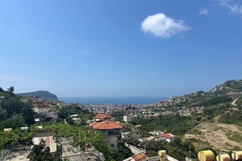 Villa i Alanya, Antalya, Turkiet Nr. 227627 - 21