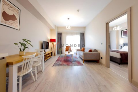 1+1 Leilighet  i Küçükçekmece, Istanbul, Tyrkia Nr. 214971 - 26