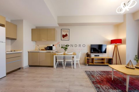 1+1 Leilighet  i Küçükçekmece, Istanbul, Tyrkia Nr. 214971 - 25