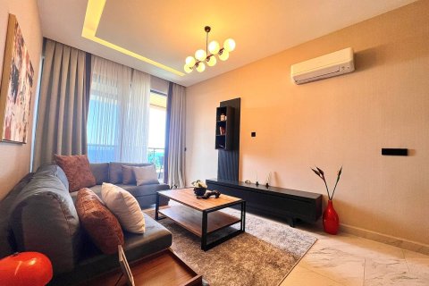 1+1 Wohnung in Alanya, Antalya, Türkei Nr. 216577 - 13