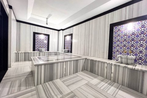 1+1 Wohnung  in Alanya, Antalya, Türkei Nr. 216578 - 19