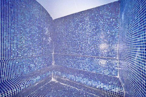 1+1 Wohnung  in Alanya, Antalya, Türkei Nr. 216578 - 21