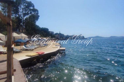 Kommersiella fastigheter i Bodrum, Mugla, Turkiet Nr. 227487 - 7