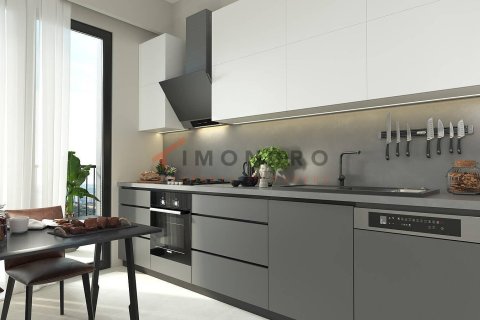 1+1 Wohnung  in Kâğıthane, Istanbul, Türkei Nr. 221653 - 22