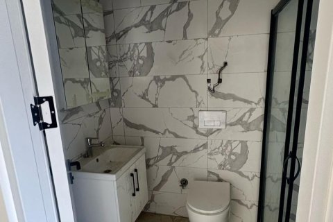 1+1 Wohnung  in Alanya, Antalya, Türkei Nr. 216641 - 6