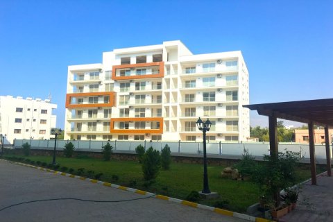 1+1 Lejlighed  i Gemikonagi, Guzelyurt,  Nr. 214541 - 5