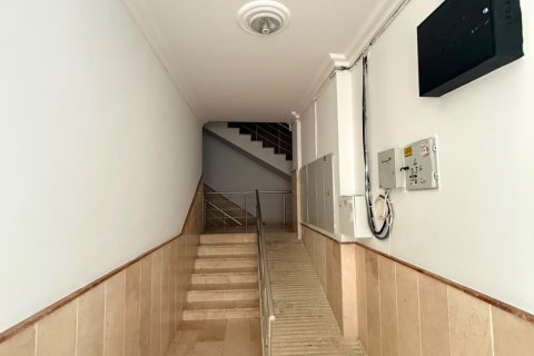 2+1 Lejlighed i Oba, Antalya, Tyrkiet Nr. 238073 - 16