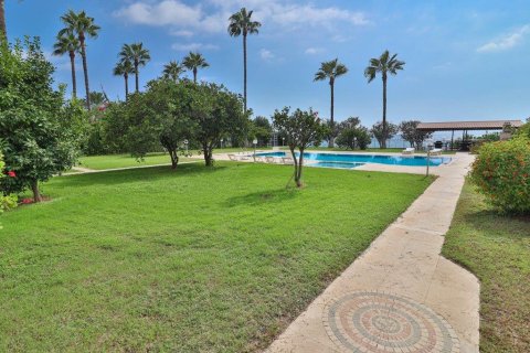 Daire  1+1  Alanya, Antalya, Türkiye №218532 - 13