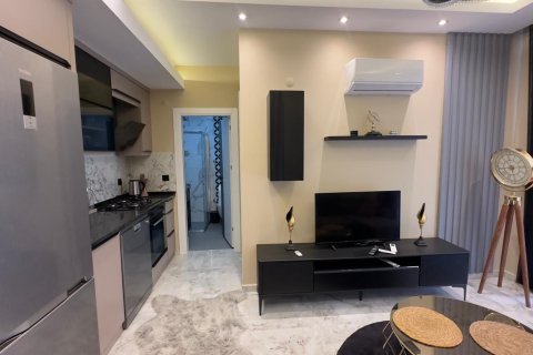 Daire  1+1  Alanya, Antalya, Türkiye №222332 - 3