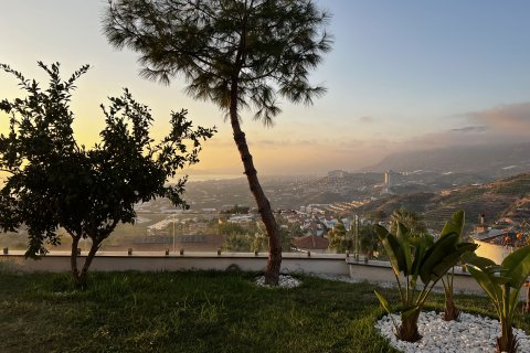 Villa for sale  in Alanya, Antalya, Turkey, 4 bedrooms, 200m2, No. 221579 – photo 24