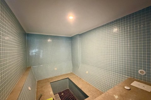 Daire  2+1  Oba, Antalya, Türkiye №232247 - 16
