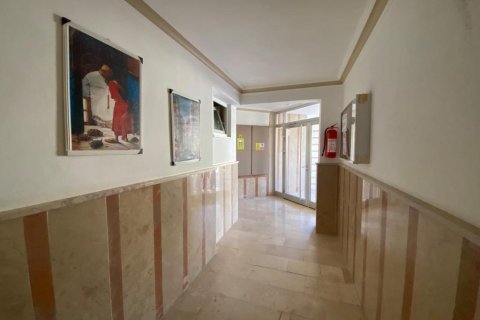 Leilighet  i Cikcilli, Antalya, Tyrkia Nr. 215386 - 17
