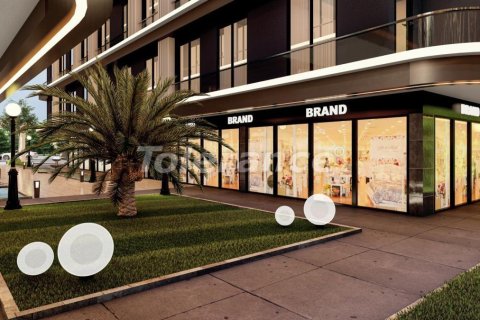 Gewerbeimmobilien  in Istanbul, Türkei Nr. 212277 - 4