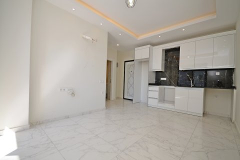 Daire  1+1  Alanya, Antalya, Türkiye №216631 - 11