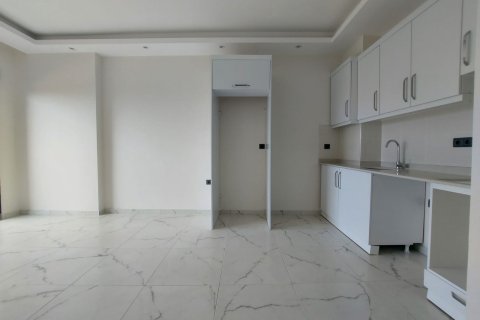 1+1 Wohnung  in Alanya, Antalya, Türkei Nr. 216633 - 6