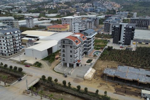 Аренда квартиры  в Аланье, Анталье, Турция 1+1, 50м2, №216635 – фото 2