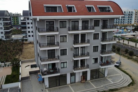 Аренда квартиры  в Аланье, Анталье, Турция 1+1, 50м2, №216635 – фото 13