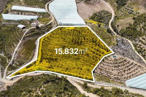 Земельный участок  15832м2 в Газипаше, Анталья, Турция №216944