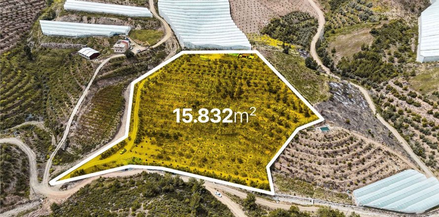 Земельный участок 15832м2 в Газипаше, Анталья, Турция №216944
