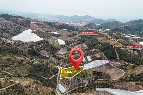 Продажа земельного участка в Газипаше, Анталье, Турция, 15832м2, №216944 – фото 2