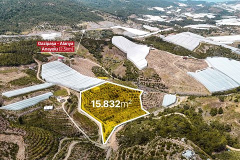 Продажа земельного участка в Газипаше, Анталье, Турция, 15832м2, №216944 – фото 7