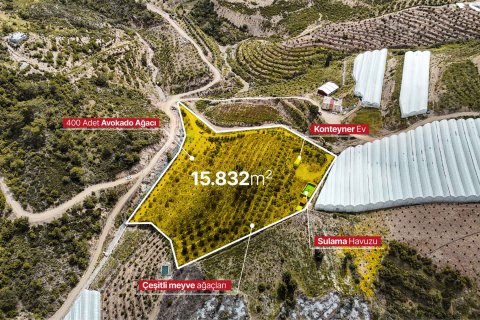 Продажа земельного участка в Газипаше, Анталье, Турция, 15832м2, №216944 – фото 4