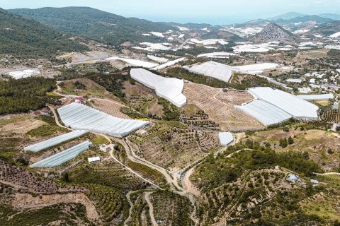 Продажа земельного участка в Газипаше, Анталье, Турция, 15832м2, №216944 – фото 3