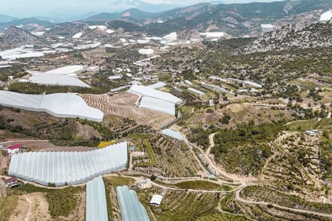 Продажа земельного участка в Газипаше, Анталье, Турция, 15832м2, №216944 – фото 8