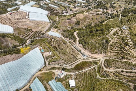 Продажа земельного участка в Газипаше, Анталье, Турция, 15832м2, №216944 – фото 9