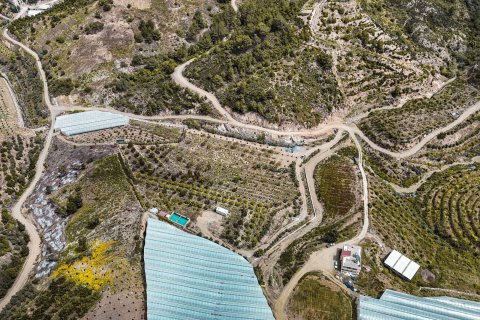 Продажа земельного участка в Газипаше, Анталье, Турция, 15832м2, №216944 – фото 10