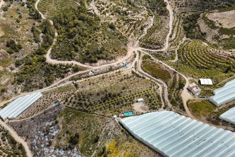 Продажа земельного участка в Газипаше, Анталье, Турция, 15832м2, №216944 – фото 11