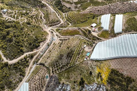 Продажа земельного участка в Газипаше, Анталье, Турция, 15832м2, №216944 – фото 12