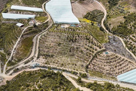 Продажа земельного участка в Газипаше, Анталье, Турция, 15832м2, №216944 – фото 14