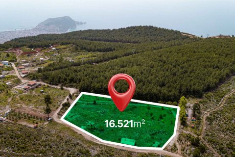 Продажа земельного участка в Аланье, Анталье, Турция, 16521м2, №216942 – фото 2