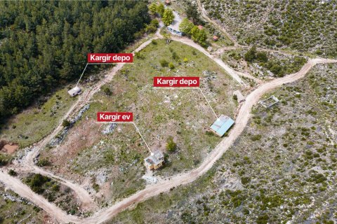 Продажа земельного участка в Аланье, Анталье, Турция, 16521м2, №216942 – фото 3