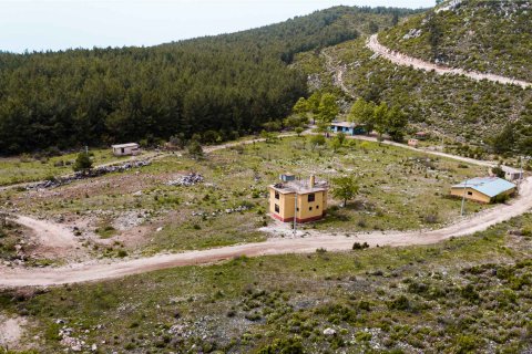 Продажа земельного участка в Аланье, Анталье, Турция, 16521м2, №216942 – фото 6