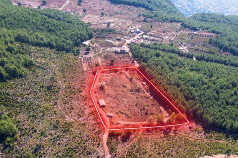 Продажа земельного участка в Аланье, Анталье, Турция, 16521м2, №216942 – фото 7