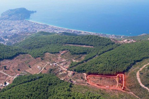 زمین در  Alanya ، ترکیه 16521 متر مربع.  شماره 216942