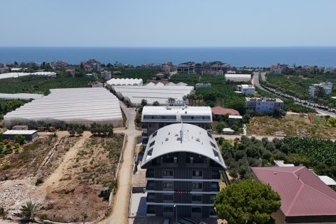 2+1 Wohnung  in Alanya, Antalya, Türkei Nr. 218641 - 14