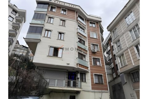 1+1 Apartment  in Kâğıthane, Istanbul, Turkey No. 219910