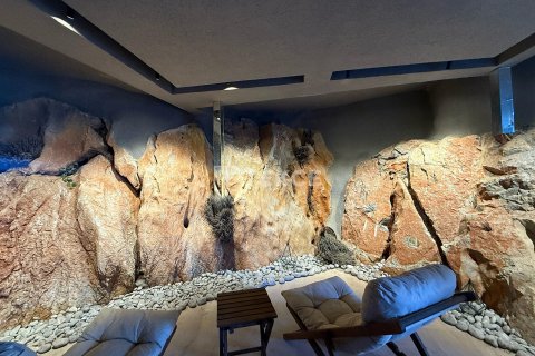 2+1 Penthouse  i Alanya, Antalya, Tyrkiet Nr. 84069 - 11