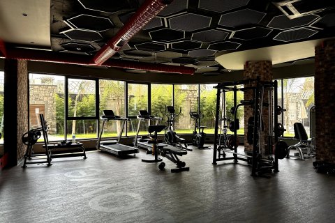 1+1 Leilighet  i Alanya, Antalya, Tyrkia Nr. 223413 - 14