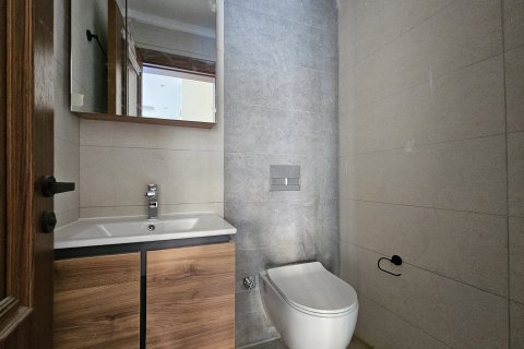 2+1 Leilighet  i Alanya, Antalya, Tyrkia Nr. 223414 - 8