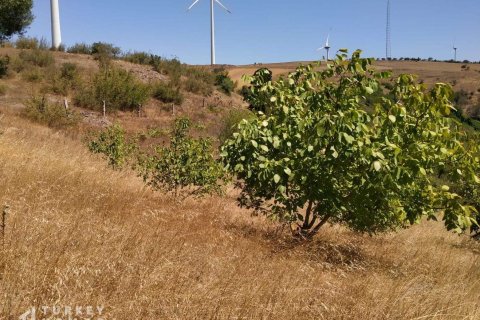 زمین در Ayvalik ، ترکیه 8000 متر مربع. شماره 233139 - 9