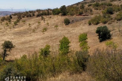 زمین در Ayvalik ، ترکیه 8000 متر مربع. شماره 233139 - 7