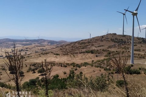 زمین در  Ayvalik ، ترکیه 8000 متر مربع.  شماره 233139